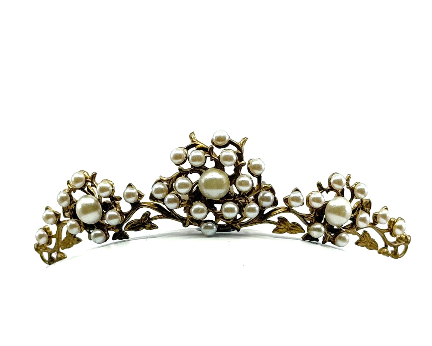 Ready and Wild Tiara Comb Hair Slide