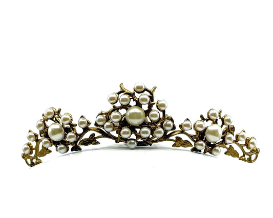 Ready and Wild Tiara Comb Hair Slide